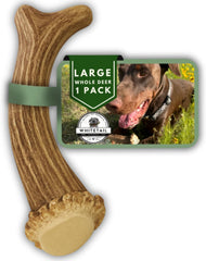 WhiteTail Naturals large deer antler chew for aggressive chewers indoors, odorless.