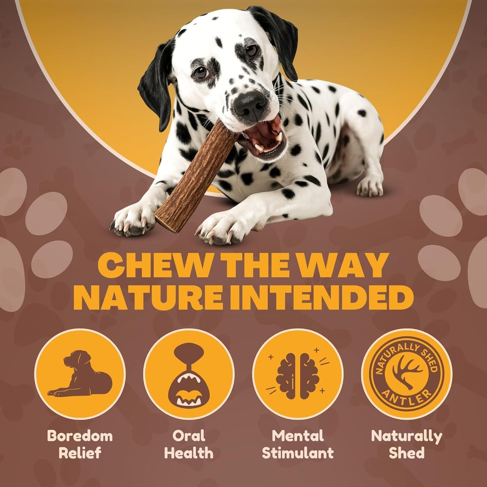 WhiteTail Naturals long-lasting dog chew ideal for aggressive chewers indoors