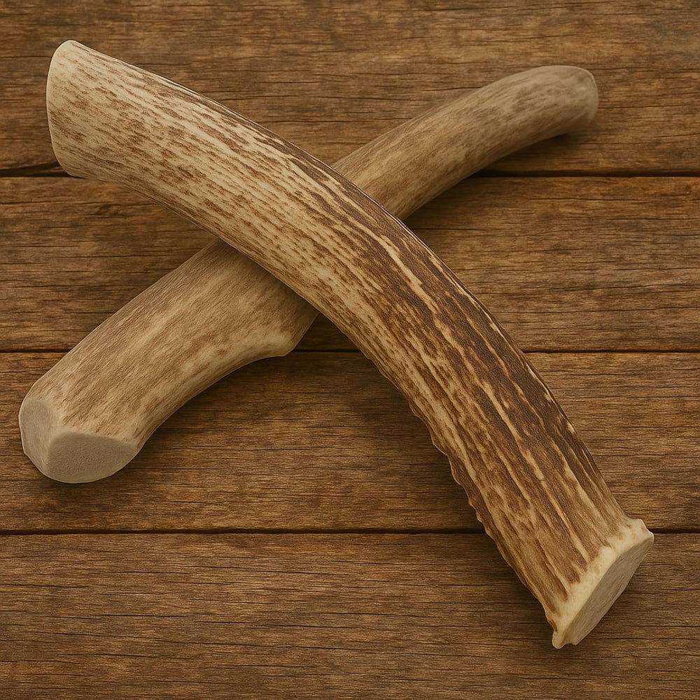 WhiteTail Naturals minerals-rich deer antler chew showcases natural minerals