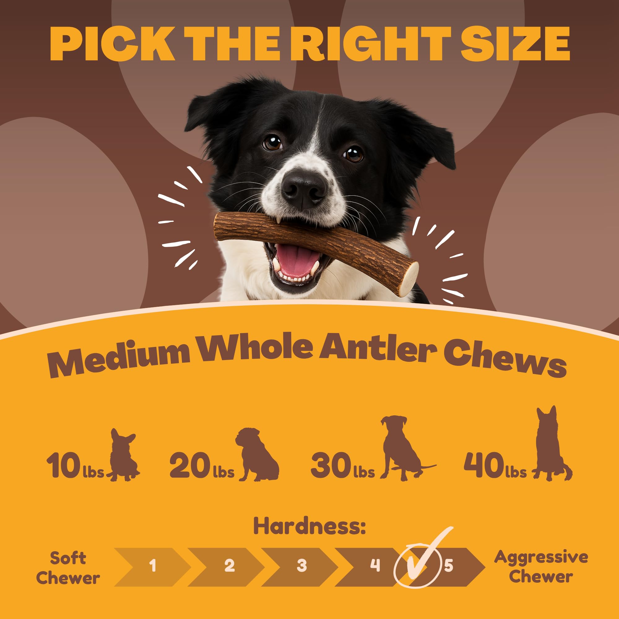 WhiteTail Naturals antler chew delivers natural minerals for dogs.