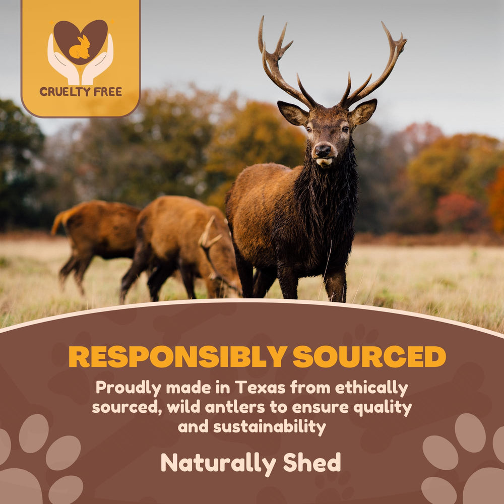 WhiteTail Naturals naturally shed antler highlighting natural materials.