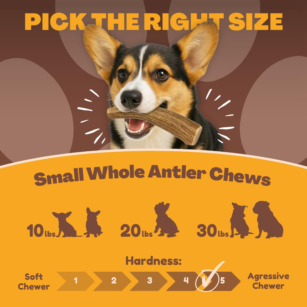 WhiteTail Naturals naturally shed antlers, a clean, natural chew for dogs.