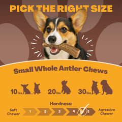 WhiteTail Naturals naturally shed antlers, a clean, natural chew for dogs.