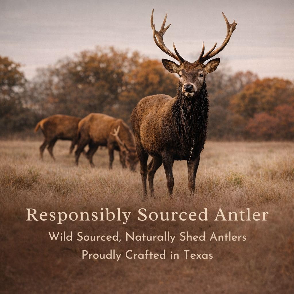 Odor-free antler chews ideal for indoor use with minimal scent
