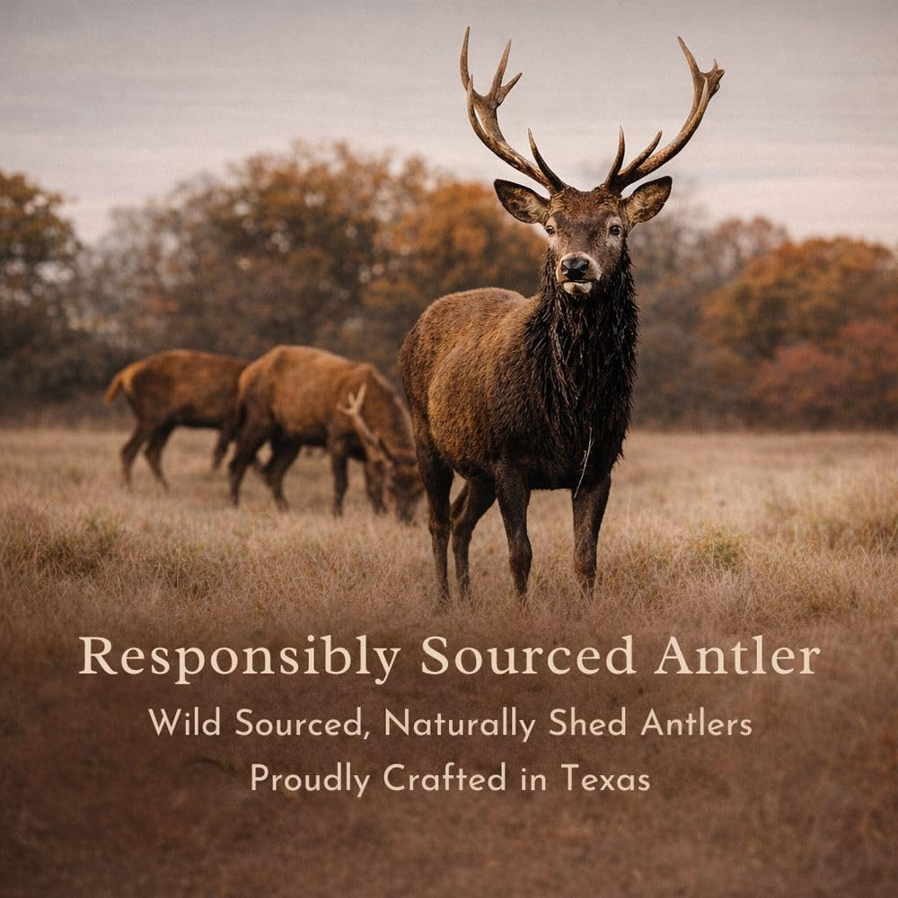 Odor-free antler chews ideal for indoor use with minimal scent