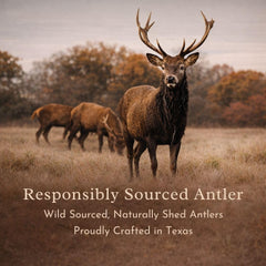 Odor-free antler chews ideal for indoor use with minimal scent