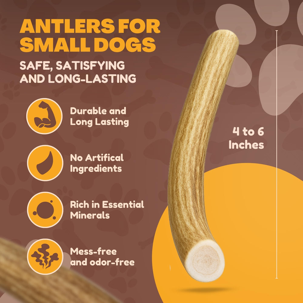 WhiteTail Naturals odorless antlers, mess-free for indoor use.