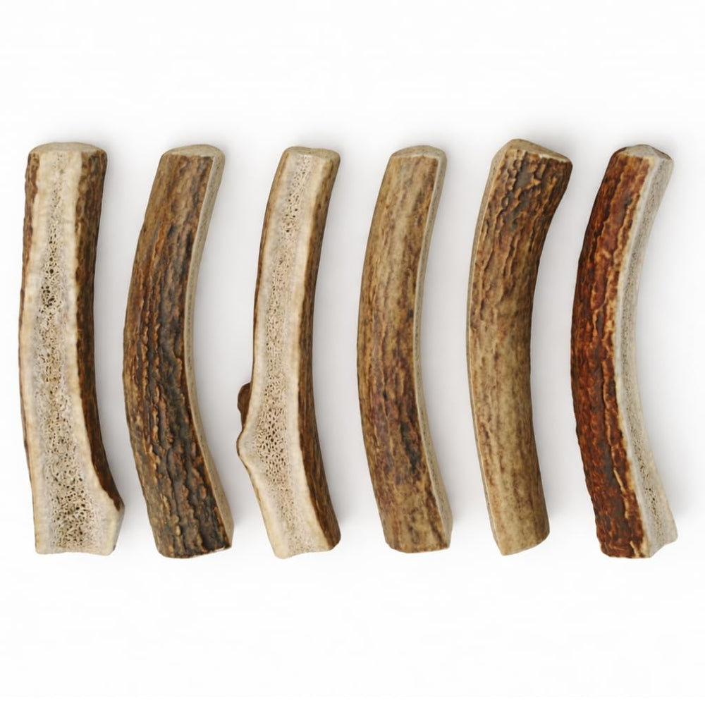 WhiteTail Naturals odorless elk antler dog chews reduce indoor smells while satisfying chewing instincts.