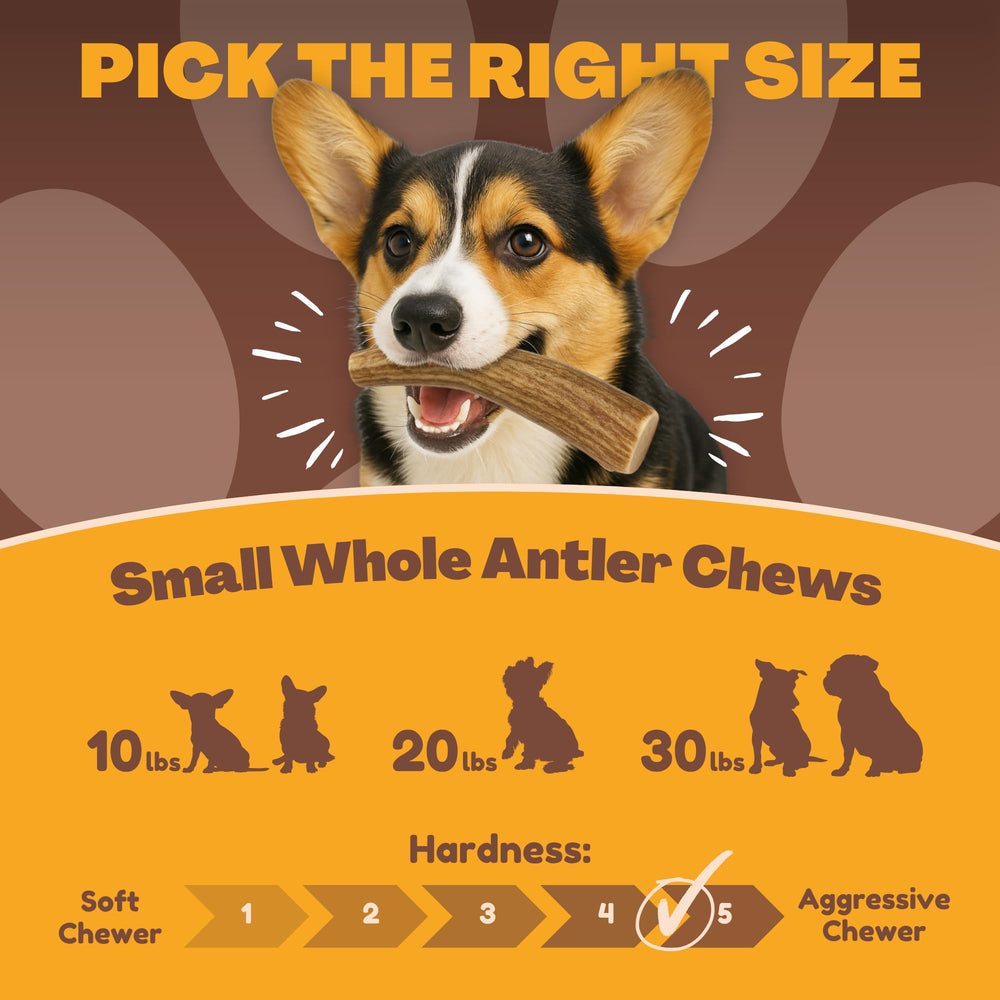 WhiteTail Naturals odorless, mess-free chews ideal for indoor use.