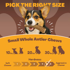 WhiteTail Naturals odorless, mess-free chews ideal for indoor use.