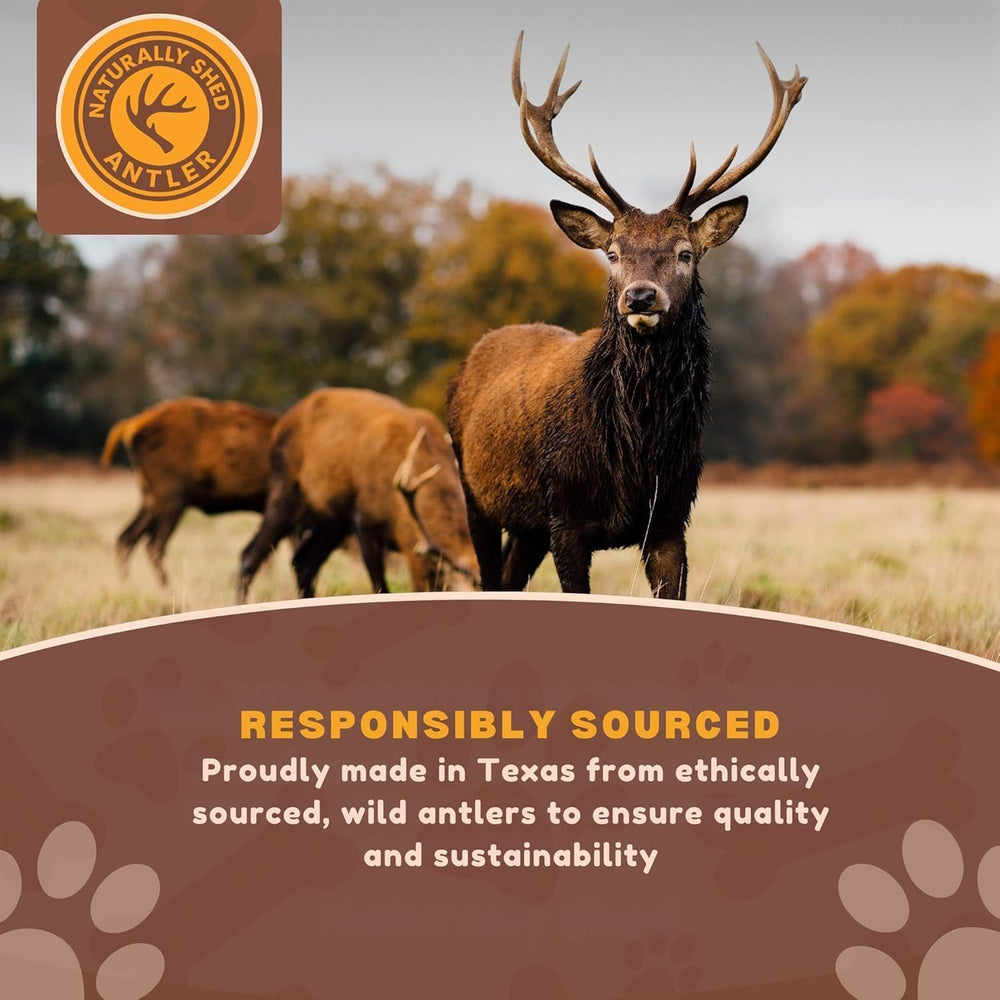 WhiteTail Naturals dog chews safely trimmed with smooth edges.