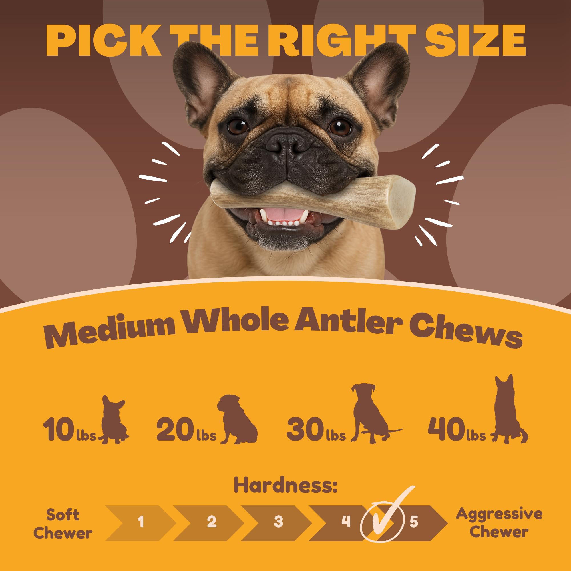 WhiteTail Naturals single-ingredient dog chew supports simple, natural nutrition.
