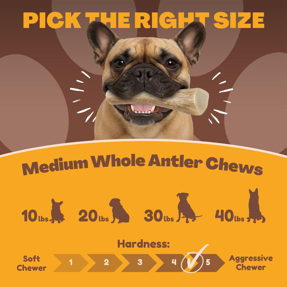 WhiteTail Naturals single-ingredient dog chew supports simple, natural nutrition.