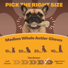 WhiteTail Naturals single-ingredient dog chew supports simple, natural nutrition.
