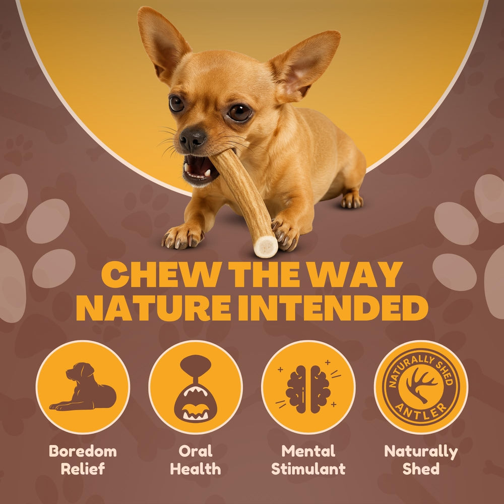 WhiteTail Naturals single-ingredient chew, free from additives for dogs.