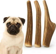 WhiteTail Naturals small dog antlers 3-pack, ideal for teething and gentle chewers.