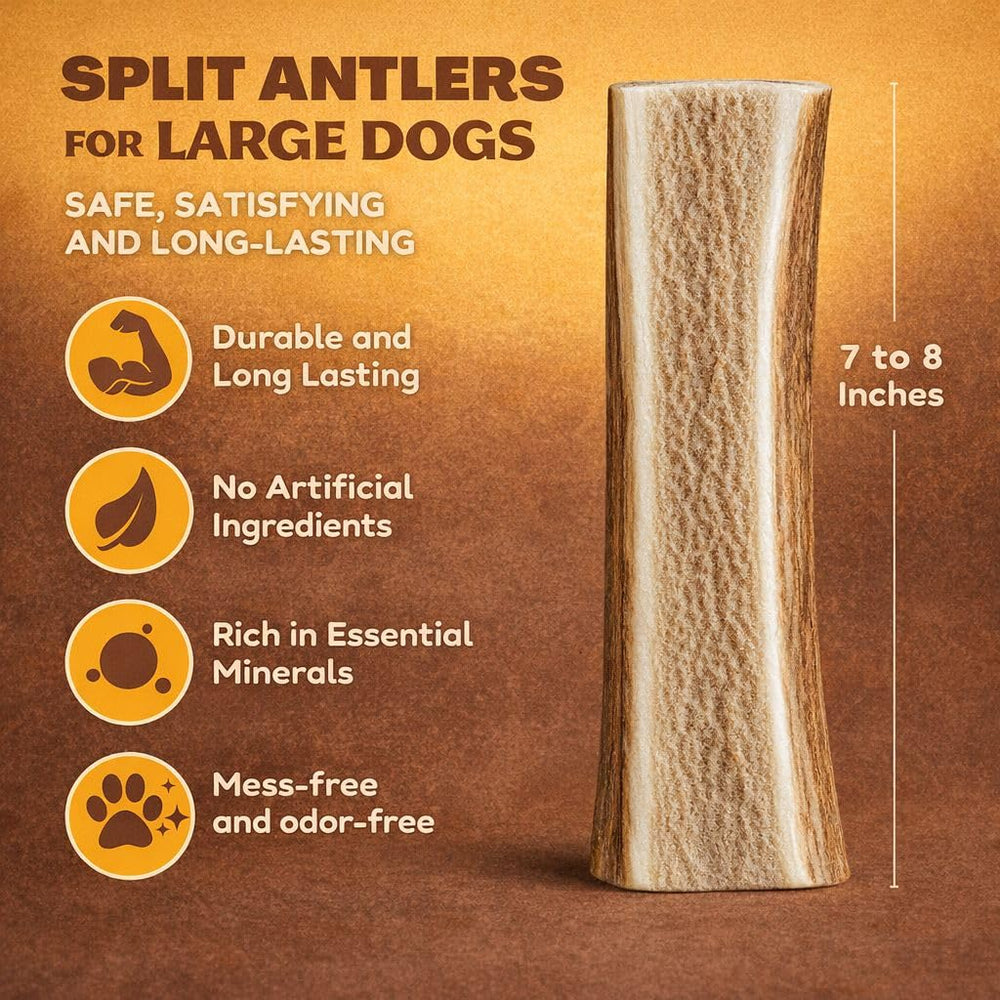 WhiteTail Naturals large split elk antlers 6-7 inches, tough chew for aggressive chewers.