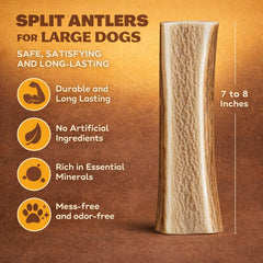 WhiteTail Naturals large split elk antlers 6-7 inches, tough chew for aggressive chewers.
