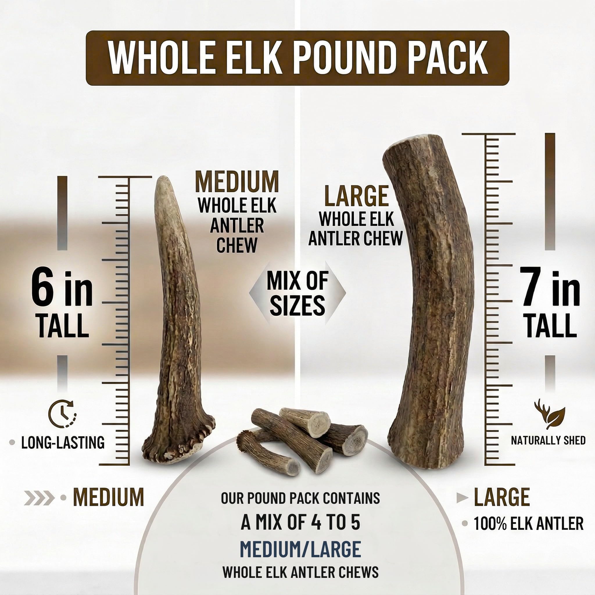 WhiteTail Naturals US-sourced elk antlers ready for chewing sessions.
