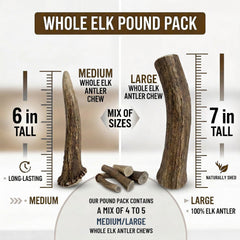 WhiteTail Naturals US-sourced elk antlers ready for chewing sessions.