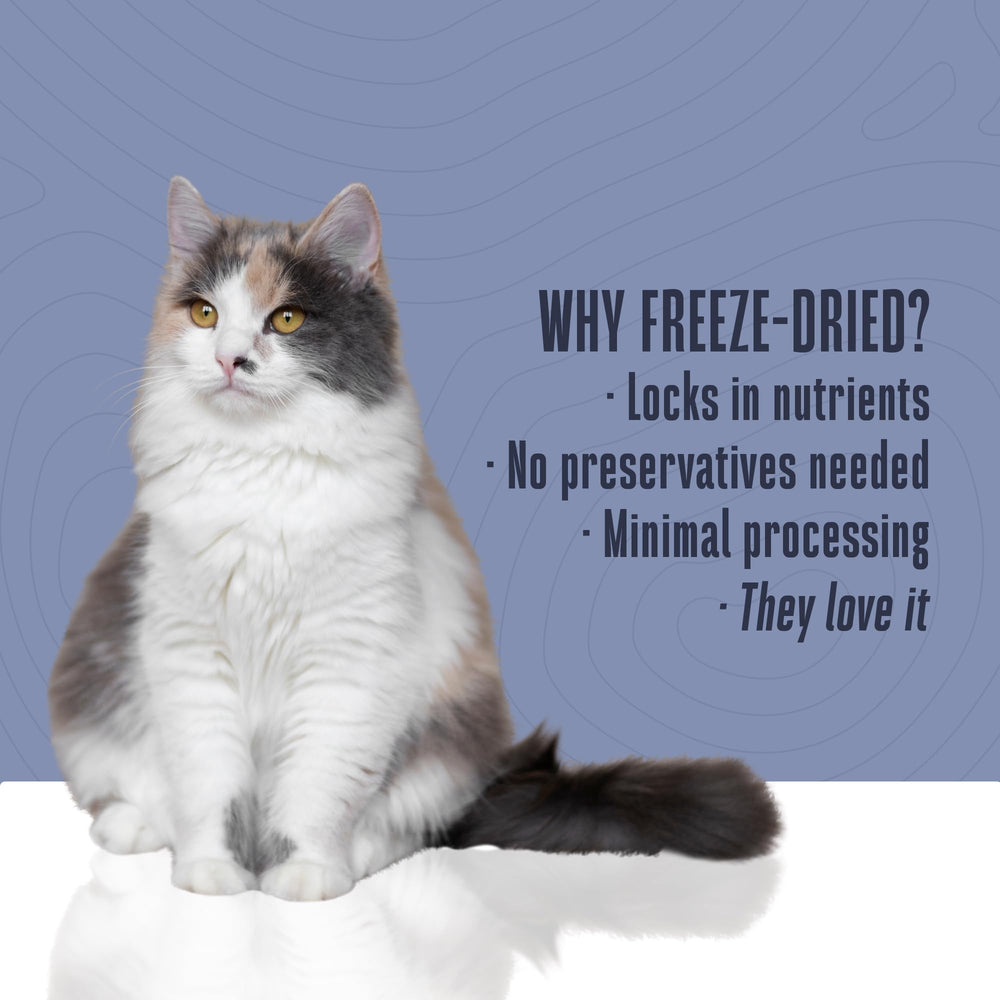 Serving suggestion shows Whole Life Cat Just One Tuna Treats toppers on a bowl.