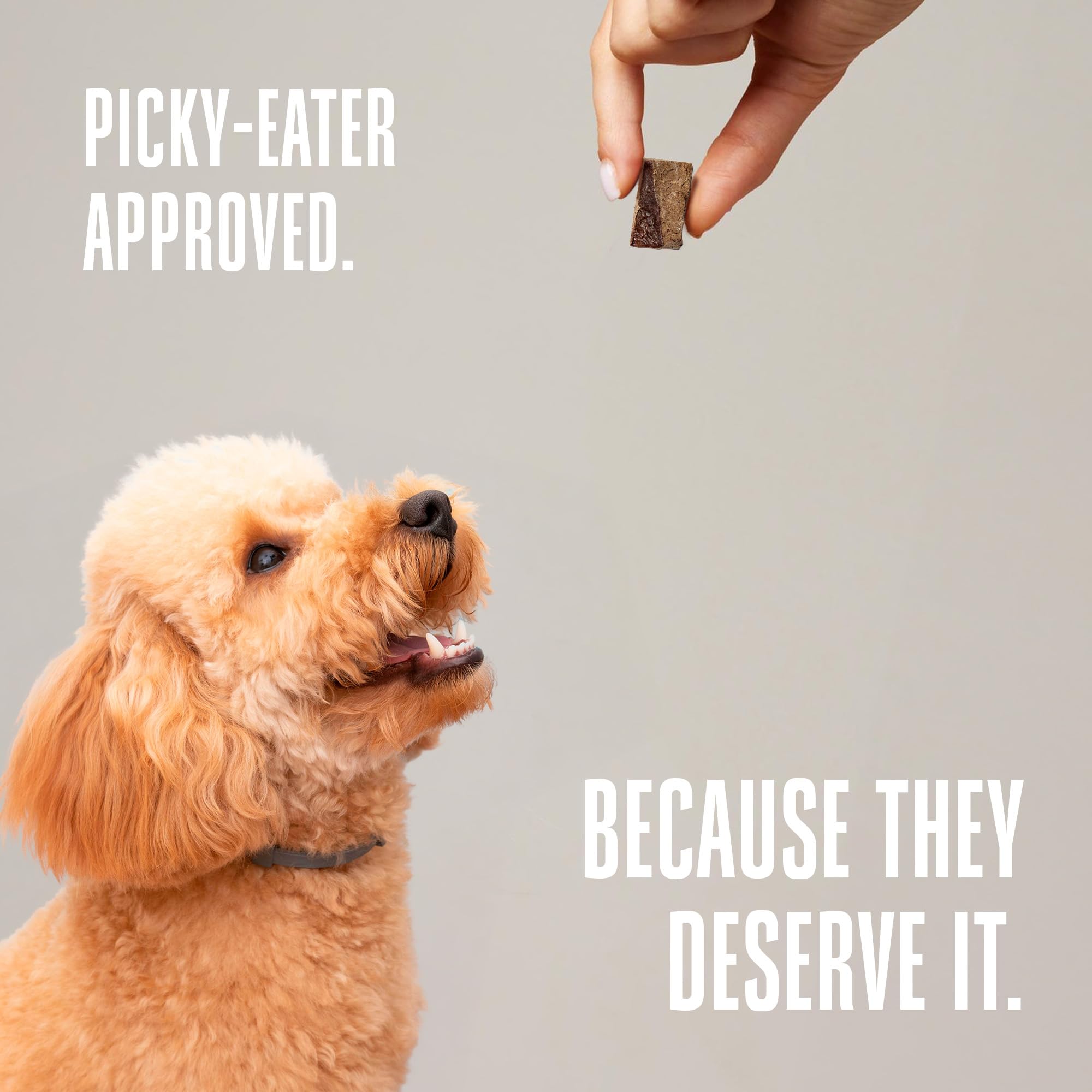 USA-made seal on Whole Life Just One Beef Liver treats signals quality.