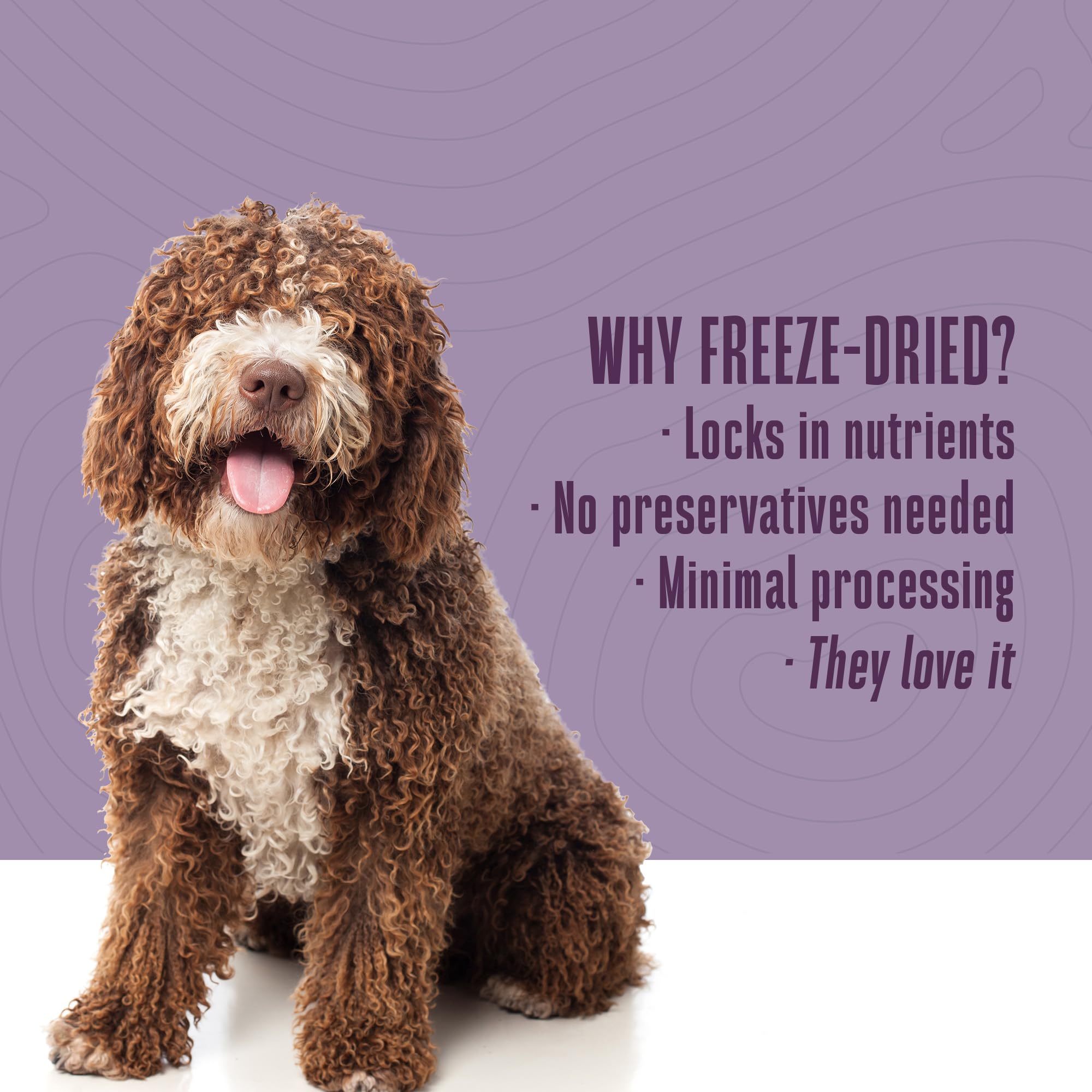 Whole Life Pet Bland Diet two-ingredient mix simplifies feeding for overwhelmed owners.
