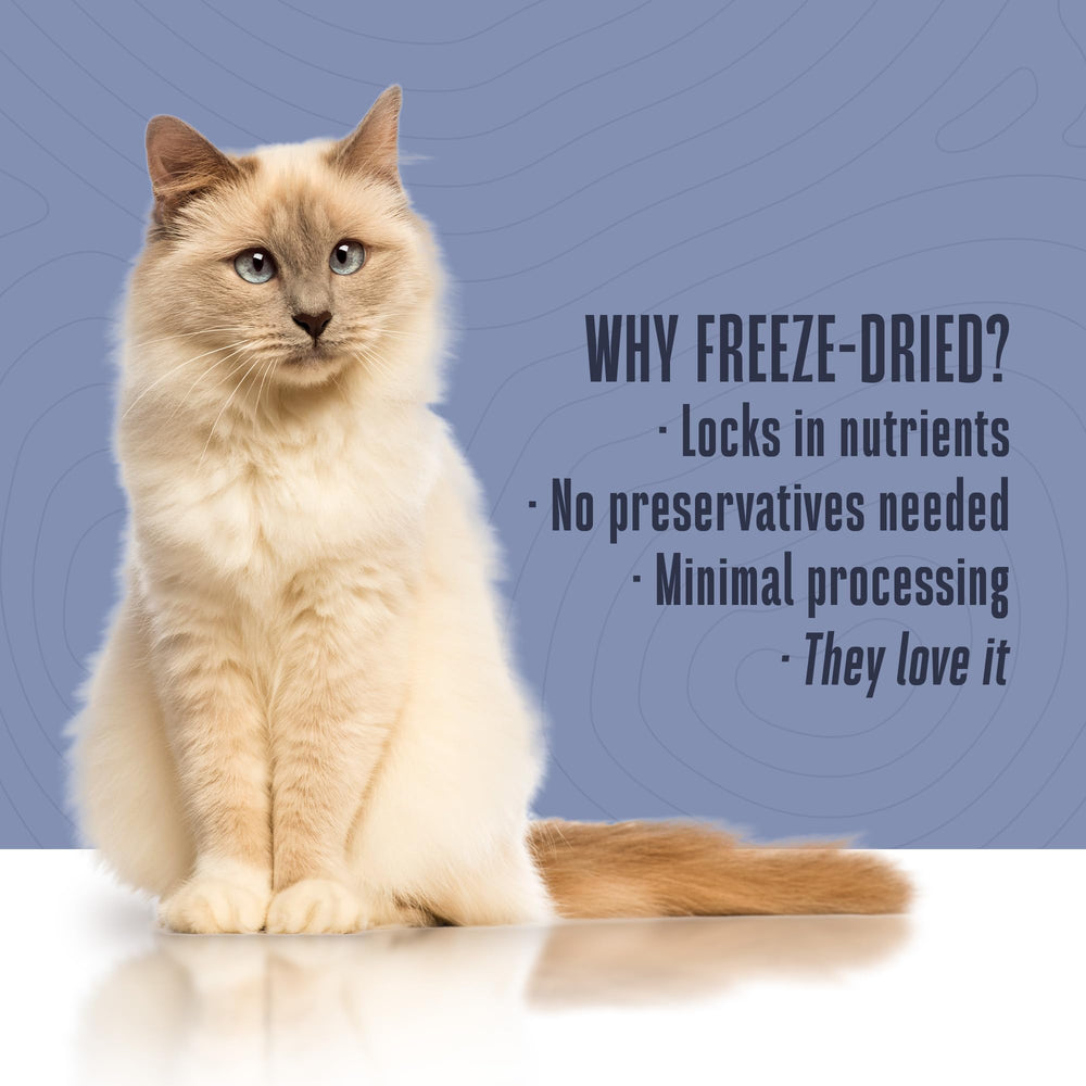 Whole Life Cat bland diet ready in minutes with hot water for a smooth texture.