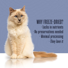 Whole Life Cat bland diet ready in minutes with hot water for a smooth texture.