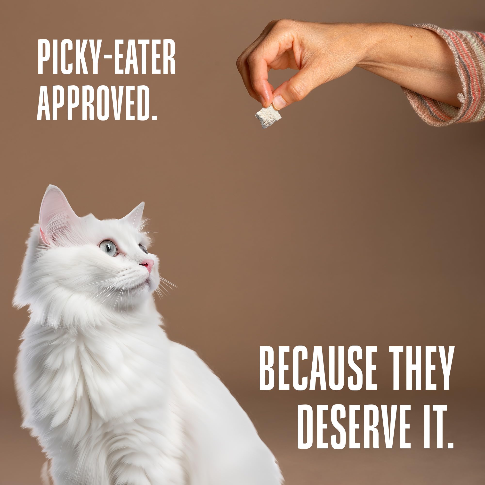Turkey toppers by Whole Life Pet, enhance meals with texture and flavor