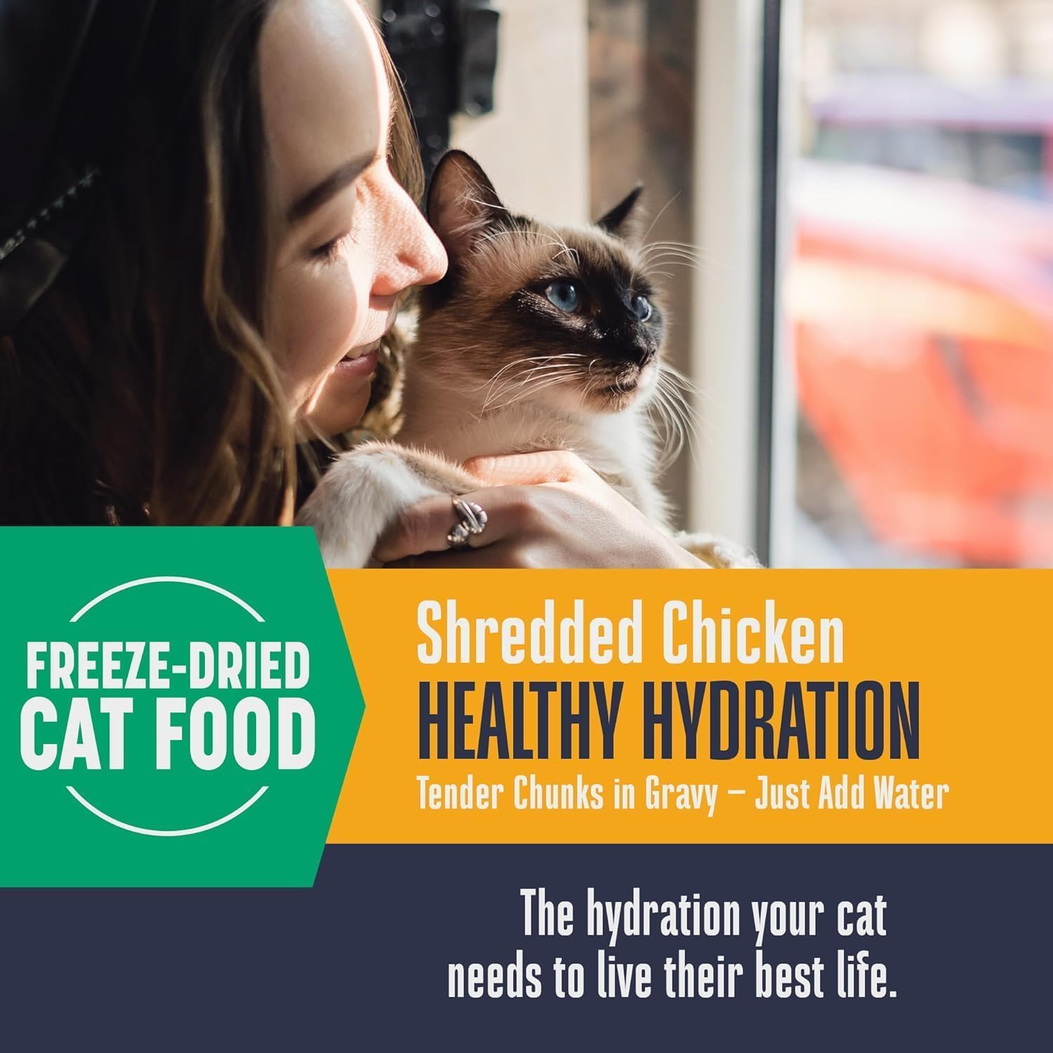 Whole Life Pet Freeze Dried Cat Food broth in a bowl, instantly hydrating and flavorful.