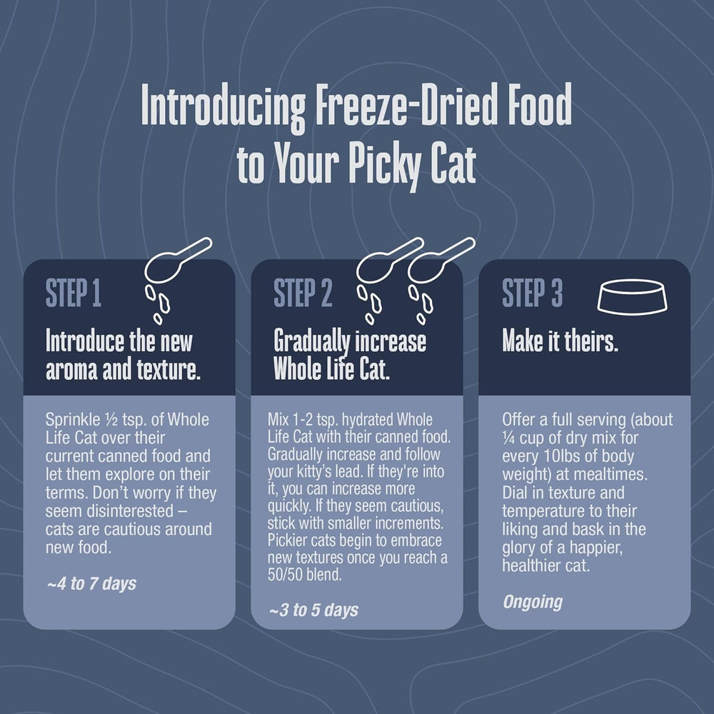 Whole Life Pet Freeze Dried Cat Food topping idea sprinkled over a bowl, appealing to picky eaters.