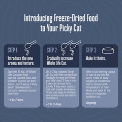 Whole Life Pet Freeze Dried Cat Food topping idea sprinkled over a bowl, appealing to picky eaters.