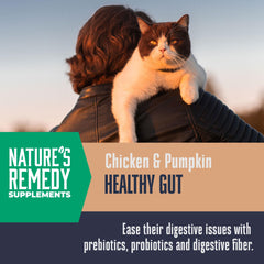 Whole Life Pet freeze-dried cat supplement in bowl, easy mixing into meals.