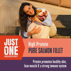 Just One Salmon freeze-dried treats used as a reward for dogs