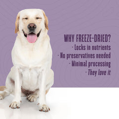 Just One Salmon freeze-dried treats aroma close-up