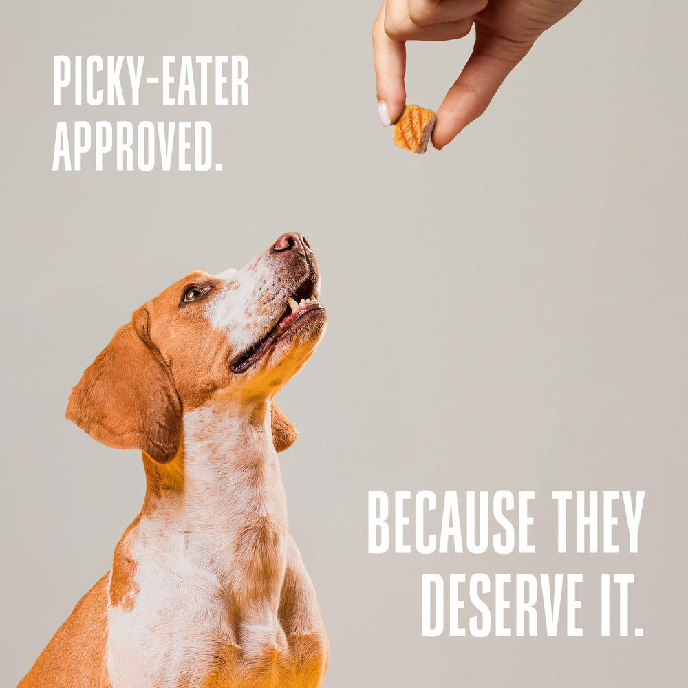 Whole Life Pet Just One Salmon freeze-dried treats, lab-tested for safety