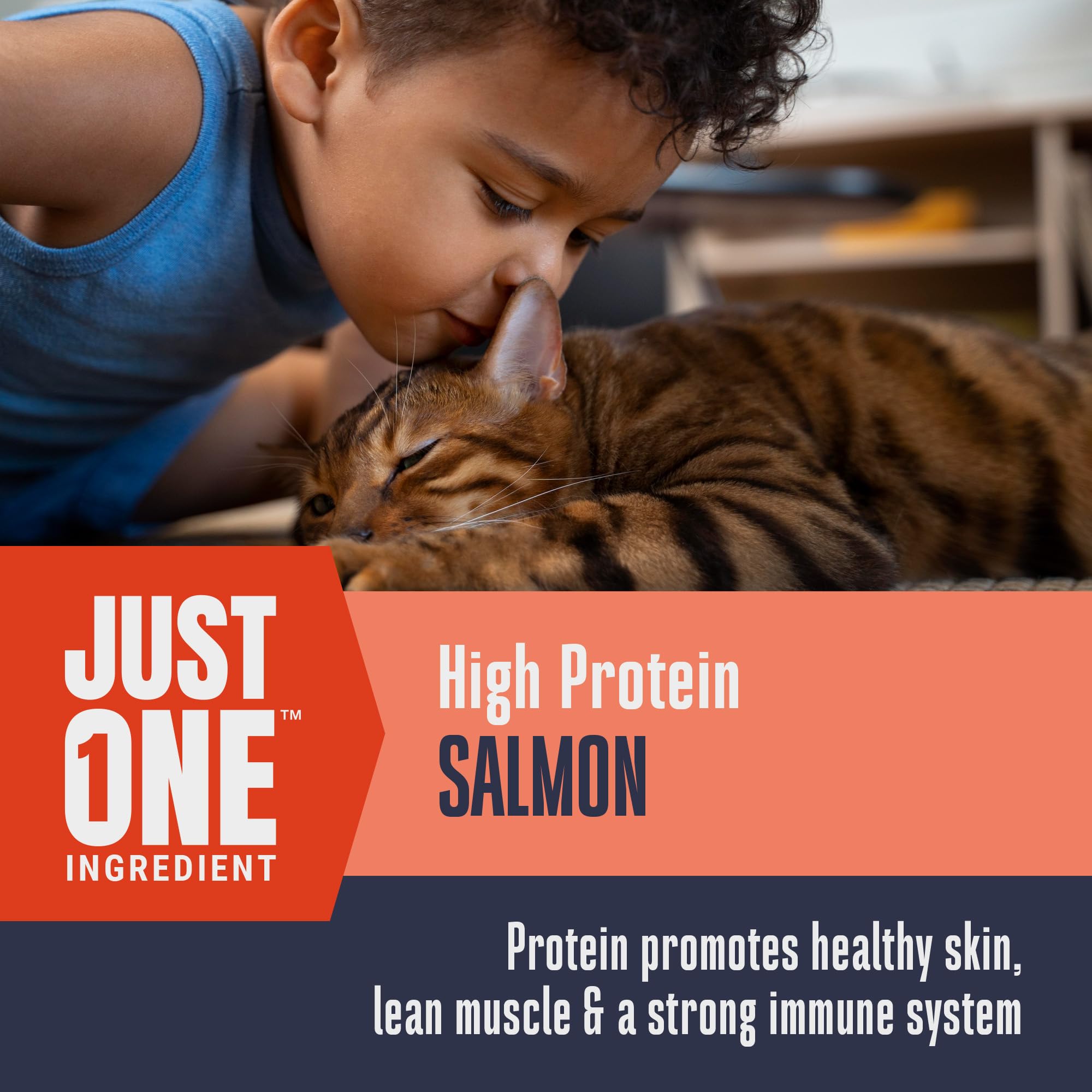 Closeup of Whole Life Just One Salmon bites highlighting single-ingredient nutrition