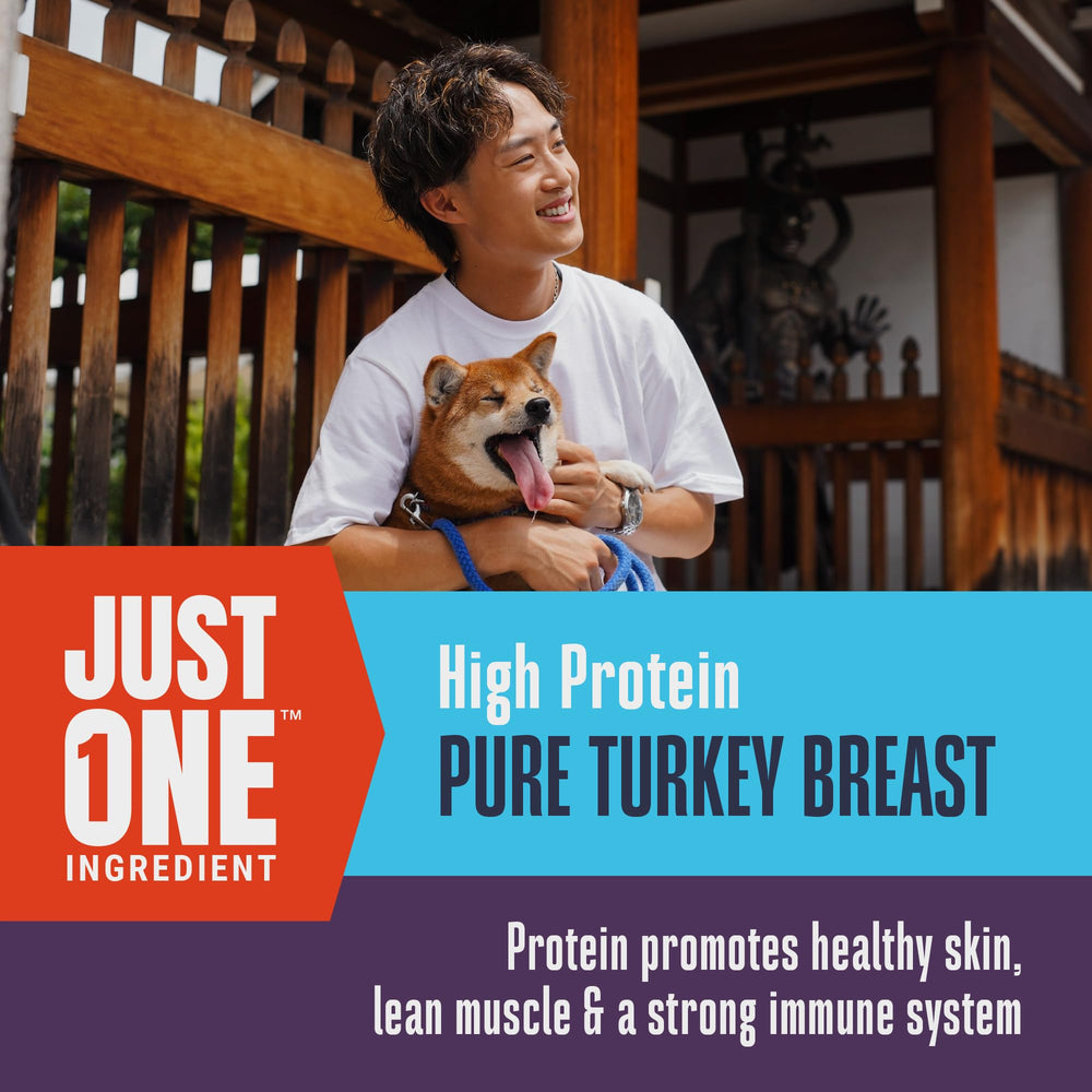 Close-up of Whole Life Pet Just One Turkey freeze-dried treats, highlighting single-ingredient quality and flavor