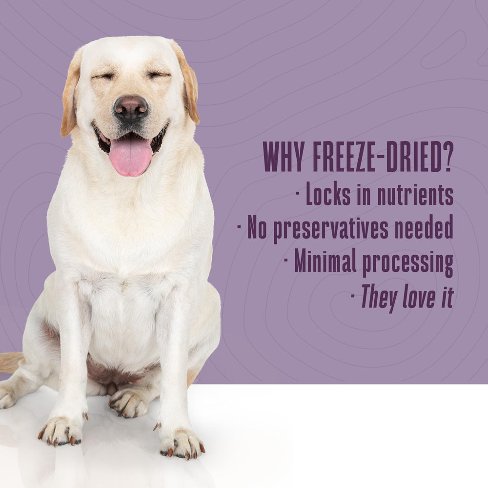 Whole Life Pet Probiotic Dog Treats treats in bowl image suggests healthy snack for daily routine