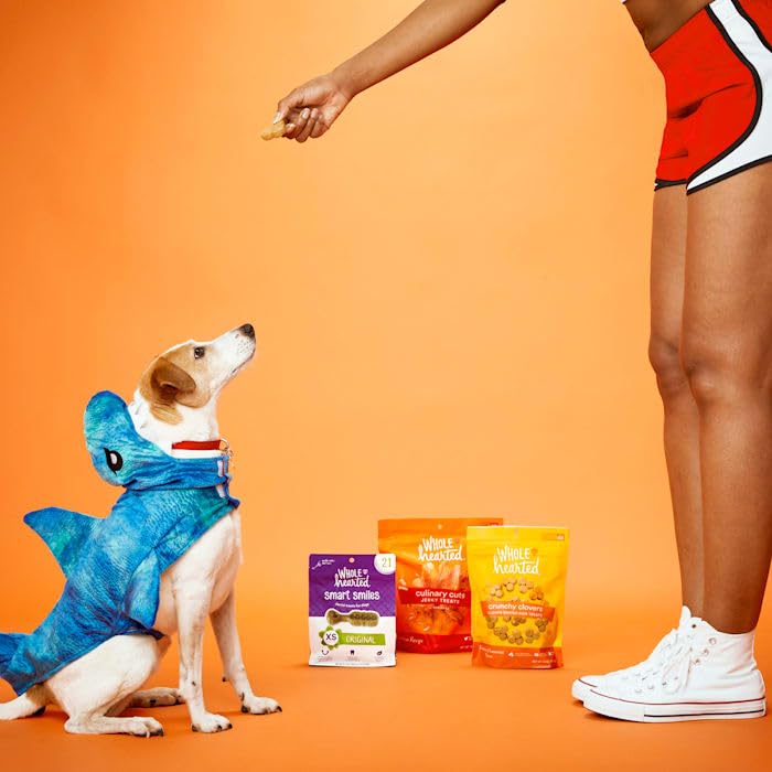 WholeHearted packaging highlights real chicken first ingredient, signaling a high-protein option for dogs.
