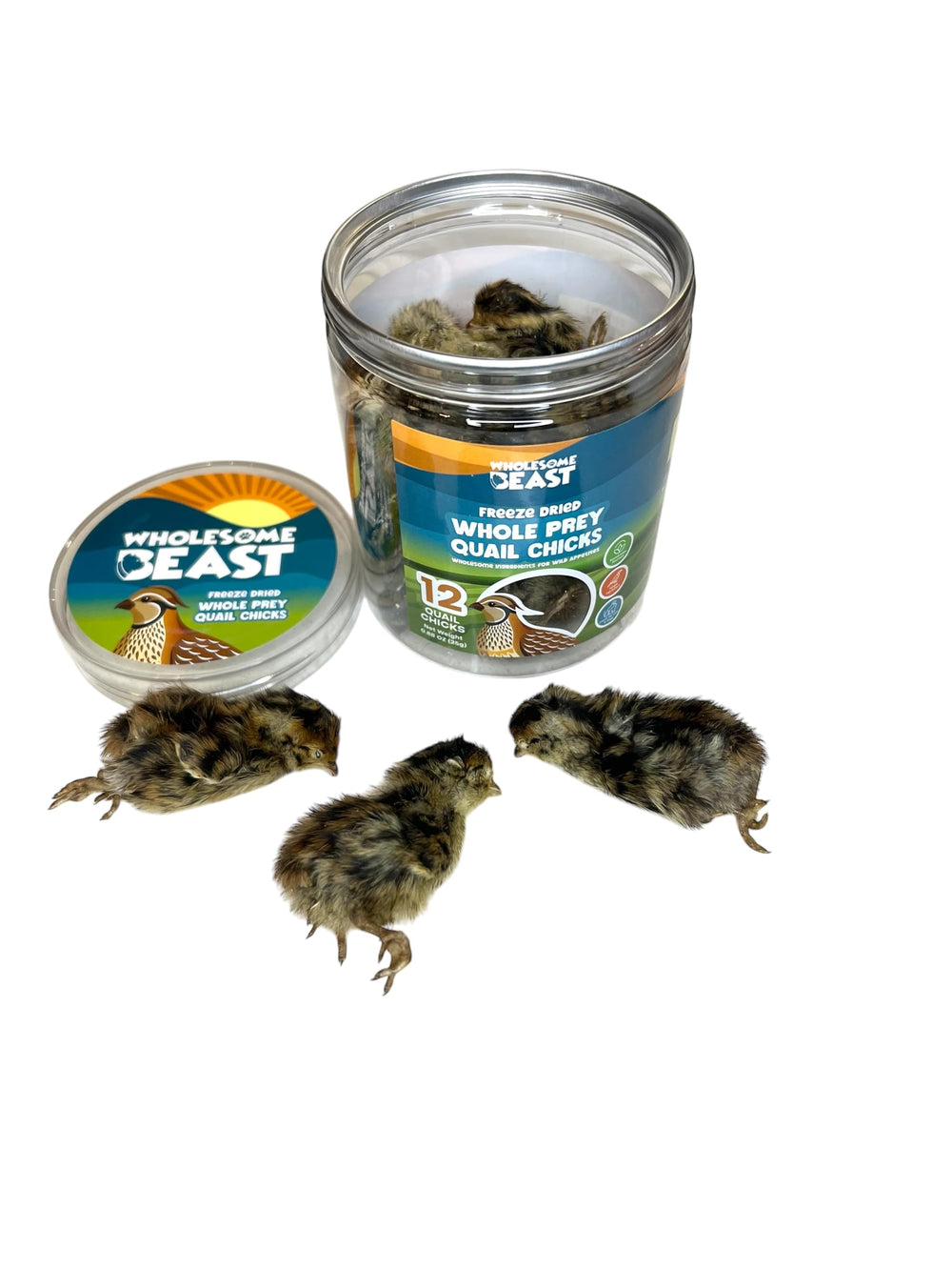 Wholesome Beast quail chicks 04 — lean protein for pets on limited-ingredient diets