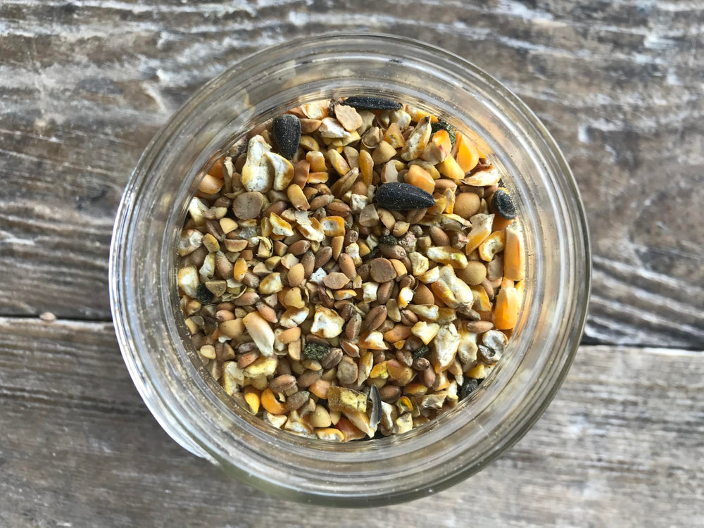 Wholesome Harvest All Flock Feed grain-blend close-up highlights non-GMO ingredients for natural nutrition.