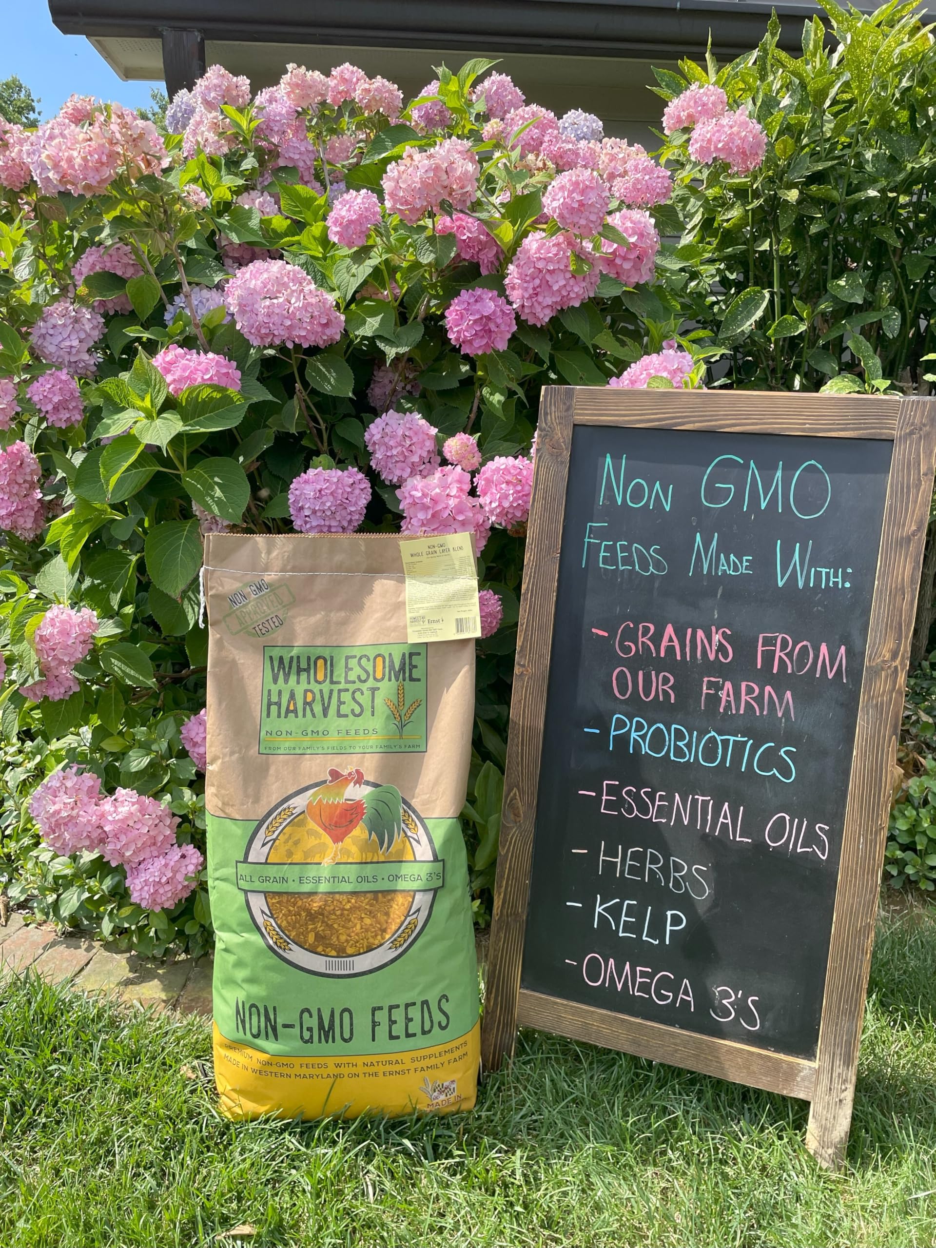Wholesome Harvest balanced nutrition supports early chick growth