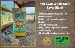Wholesome Harvest layer blend omega-3 oil provides enrichment for eggs and vitality.