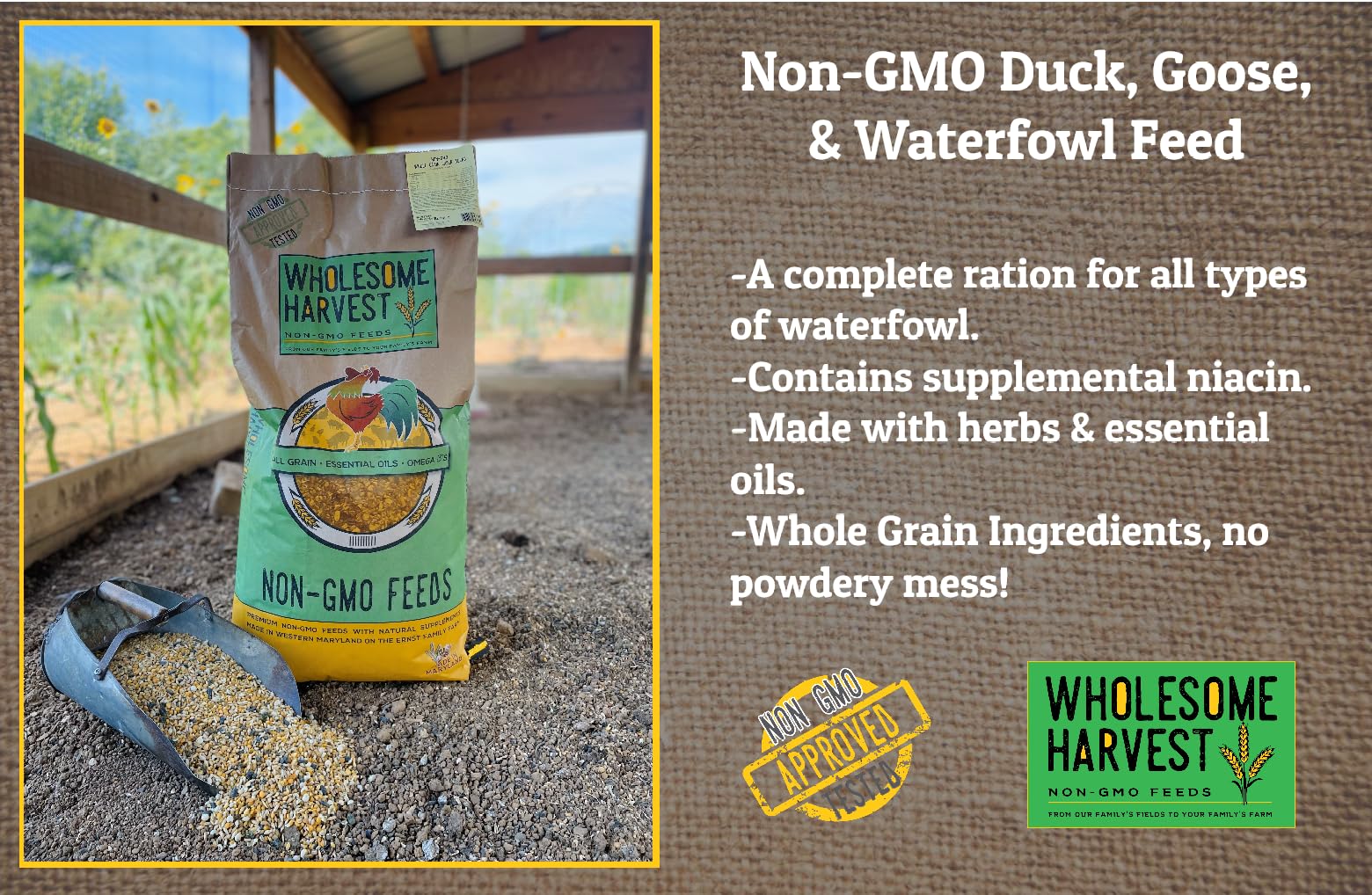 Wholesome Harvest non-GMO sustainable grains grown on Ernst Farm