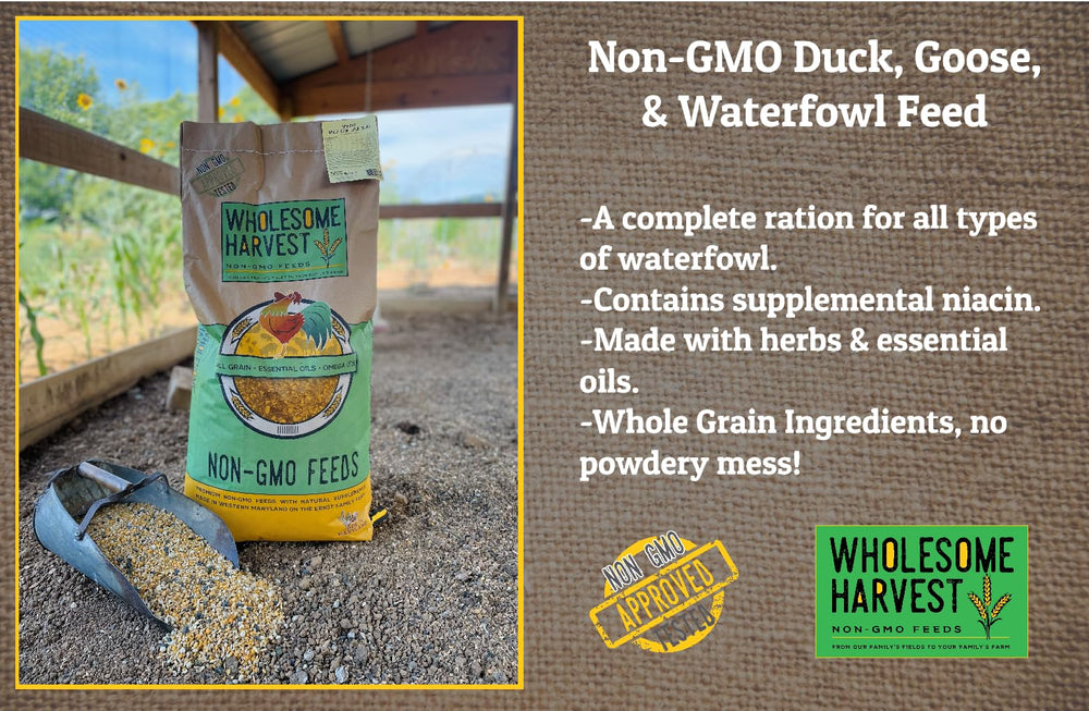 Wholesome Harvest non-GMO sustainable grains grown on Ernst Farm