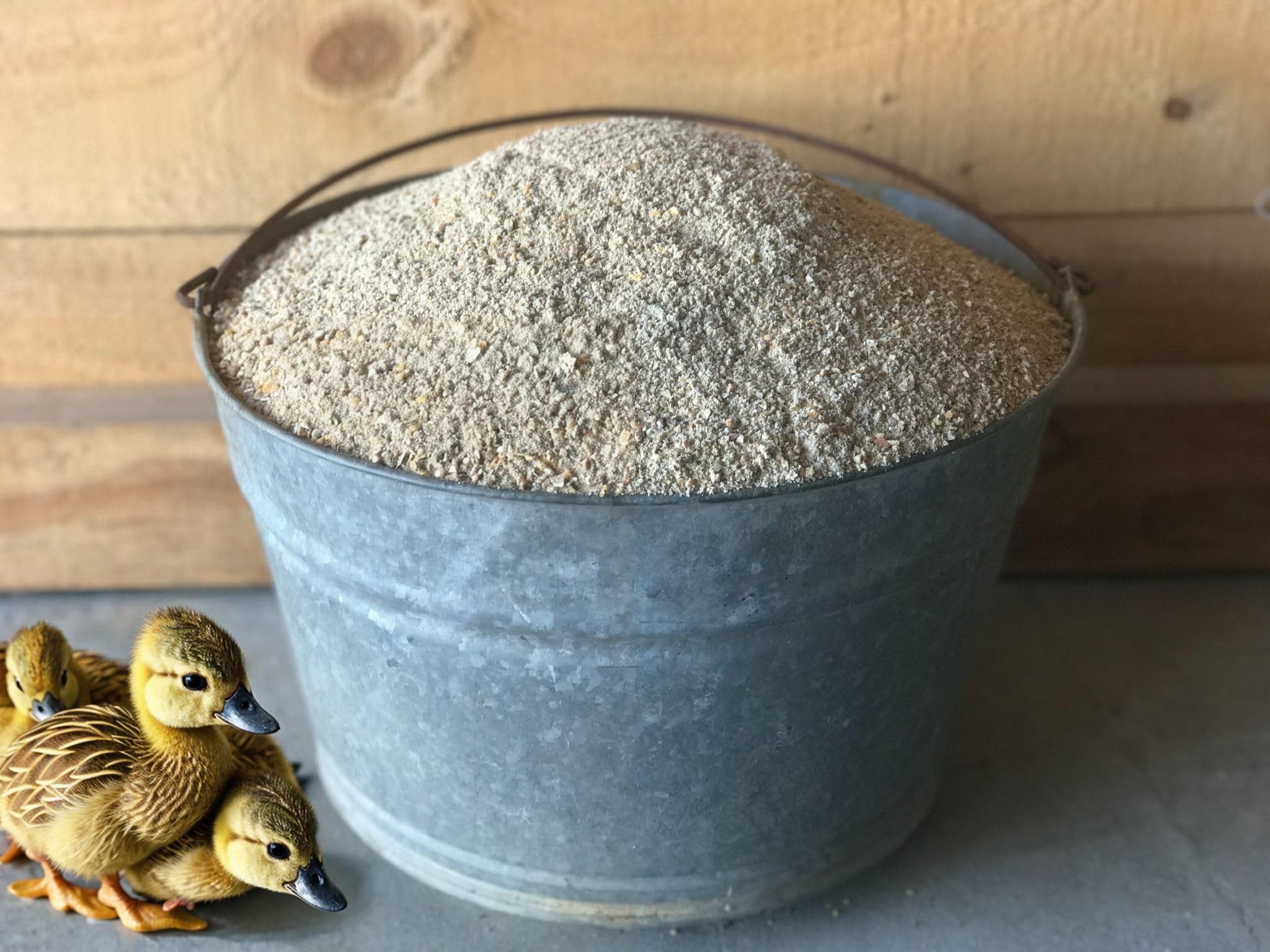 Wholesome Harvest probiotic formula aids gut-friendly feeding for ducklings.