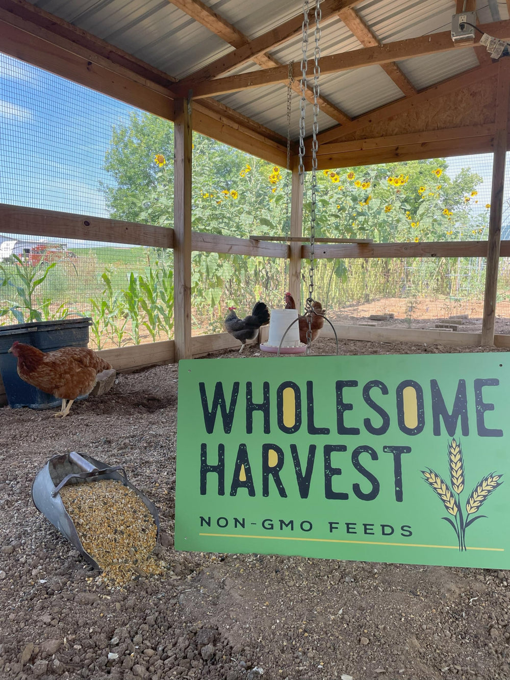 Wholesome Harvest protein-22 percent seal signals strong growth potential for developing chicks