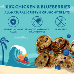 Wholesome Hound chicken & blueberry chips ingredients close-up featuring real chicken and blueberries.